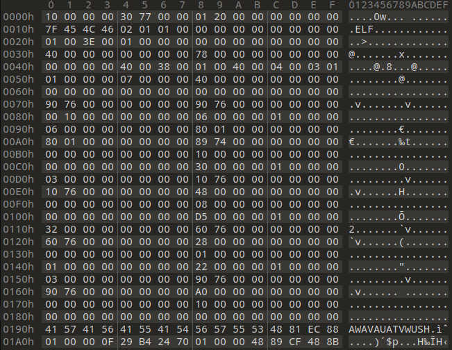 Screenshot of a hex dump showing an ELF file at offset 0x10